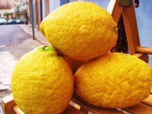 foto_big_Prodotti tipici 036_1_20080404181244