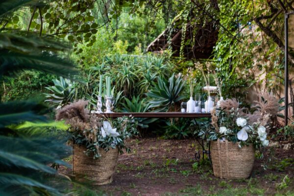 WhatsApp Image 2023-05-16 at 15.17.23 (1)