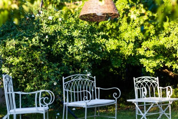 WhatsApp Image 2023-05-16 at 15.17.24 (3)