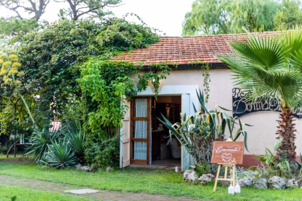 WhatsApp Image 2023-05-16 at 15.17.25 (2)