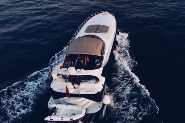 Mangusta 65fff