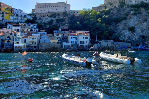 20220912_154146_resized_1