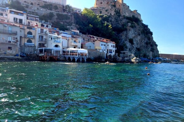 20220912_154210_resized_1