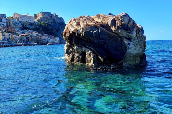 20220912_154425_resized