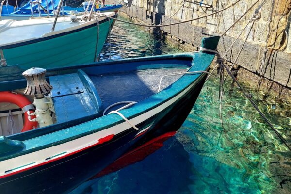 20220912_164436_resized