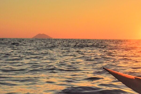 IMG_20220712_201338_2