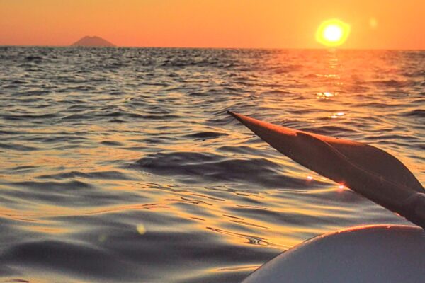 IMG_20220712_201338_2