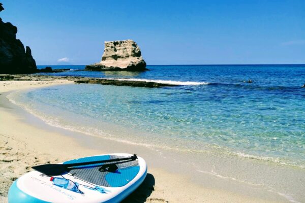 IMG_20220827_130122-EFFECTS (2)