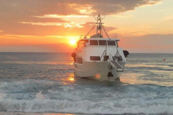 WhatsApp Image 2023-04-15 at 10.49.53 AM