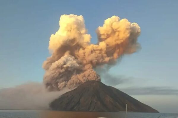 WhatsApp Image 2023-04-15 at 10.52.09 AM