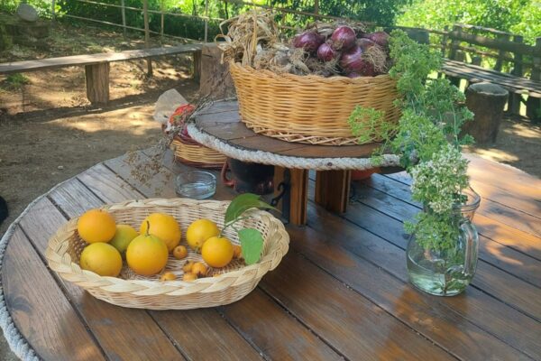 WhatsApp Image 2023-05-19 at 11.57.28 AM (1)