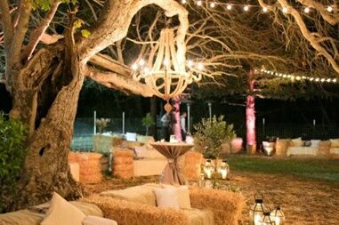 Immagine WhatsApp 2023-10-08 ore 15.14.37_47eeedfc