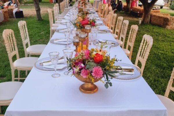 Immagine WhatsApp 2023-10-09 ore 15.22.03_b426f0b0