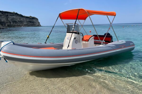 WhatsApp Image 2023-02-02 at 9.43.58 AM