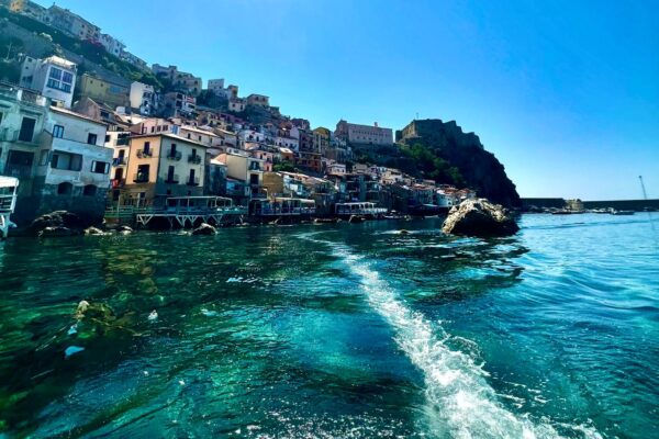 f80a5214-1f15-4ac8-9a98-5eb3cfcd2c2a