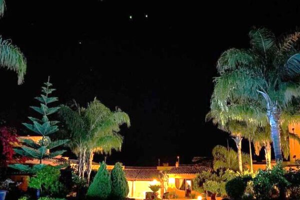 Immagine WhatsApp 2025-03-06 ore 10.18.10_045fd47a