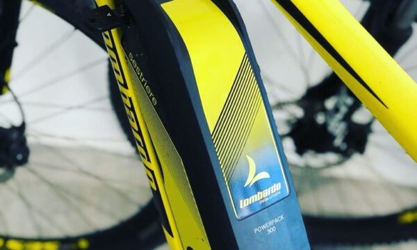 106711971_574877630088804_5434253458673126298_n