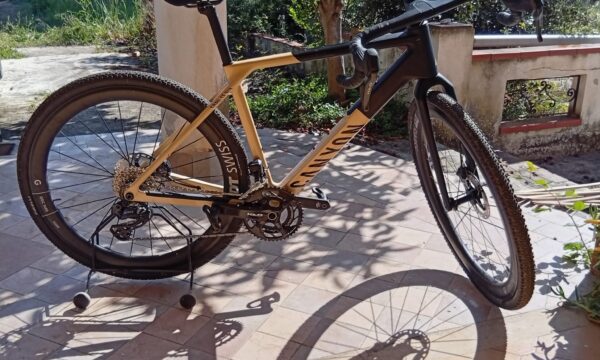 Immagine WhatsApp 2025-06-29 ore 21.29.44_90f24704