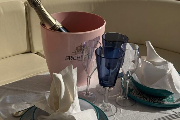 WhatsApp Image 2026-02-13 at 10.34.16